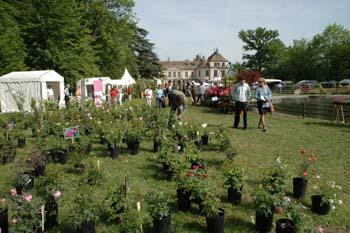 Jardins 05 (29)