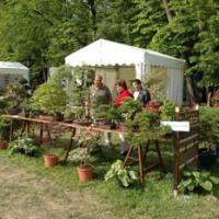 Jardins 05 (31)
